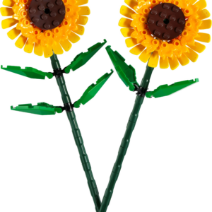 Zonnebloemen